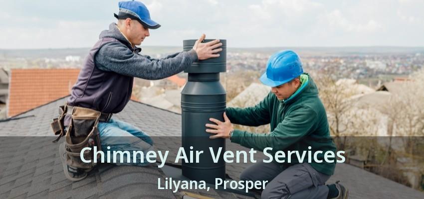 Chimney Air Vent Services Lilyana, Prosper - TX