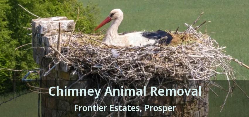 Chimney Animal Removal Frontier Estates, Prosper - TX