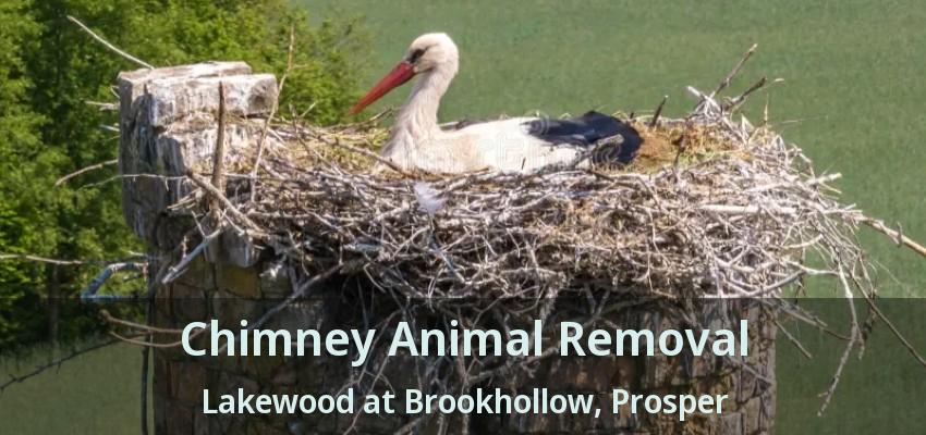 Chimney Animal Removal Lakewood at Brookhollow, Prosper - TX