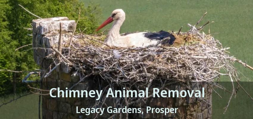 Chimney Animal Removal Legacy Gardens, Prosper - TX