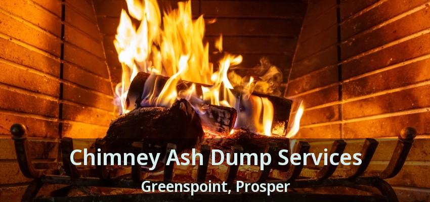 Chimney Ash Dump Services Greenspoint, Prosper - TX