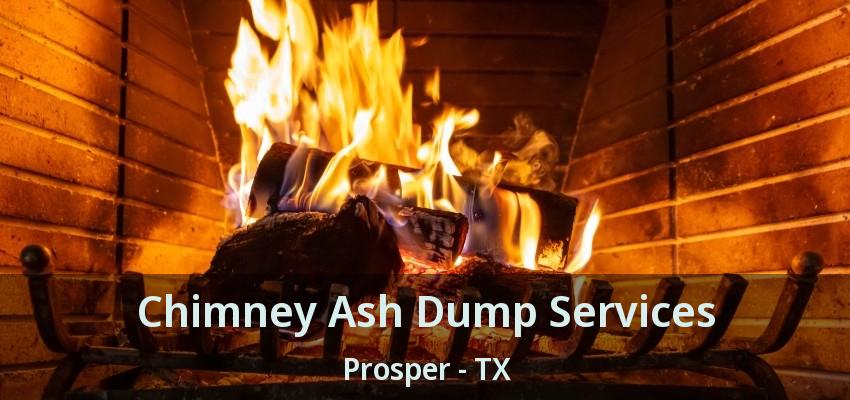 Chimney Ash Dump Services Prosper - TX