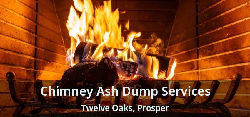 Chimney Ash Dump Services Twelve Oaks, Prosper - TX