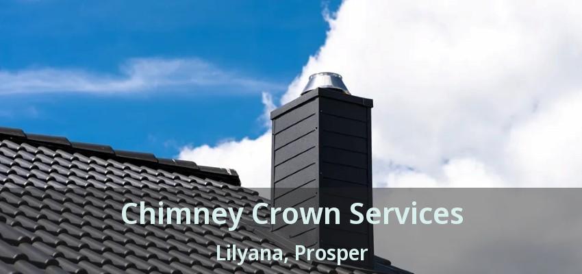 Chimney Crown Services Lilyana, Prosper - TX