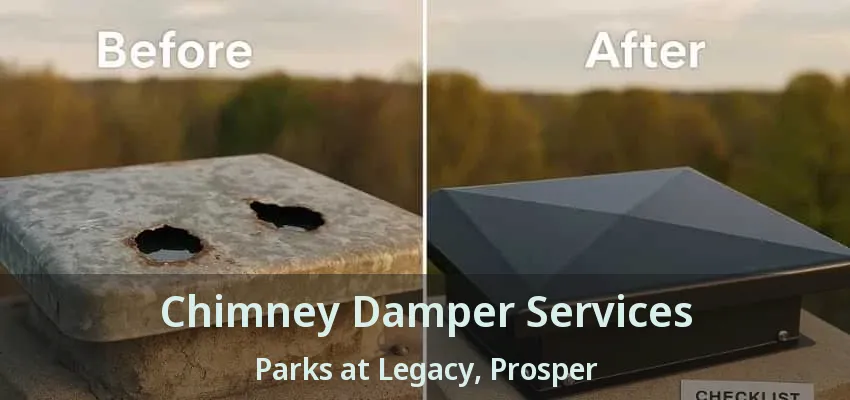 Chimney Damper Services Parks at Legacy, Prosper - TX