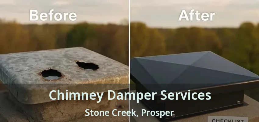 Chimney Damper Services Stone Creek, Prosper - TX