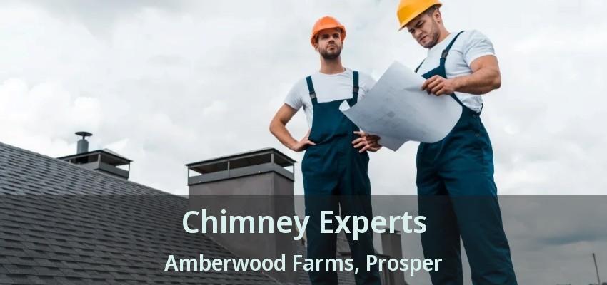 Chimney Experts Amberwood Farms, Prosper - TX