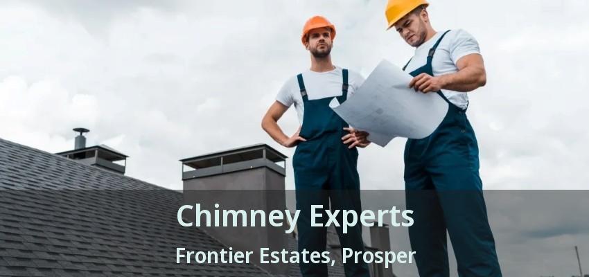 Chimney Experts Frontier Estates, Prosper - TX
