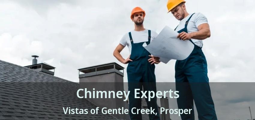 Chimney Experts Vistas of Gentle Creek, Prosper - TX