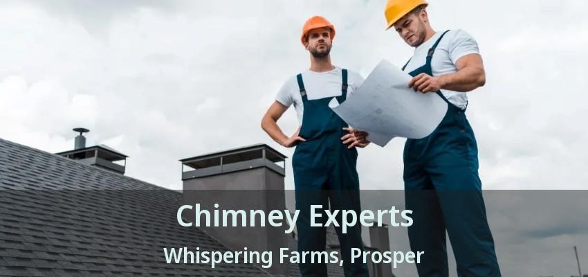 Chimney Experts Whispering Farms, Prosper - TX
