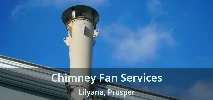 Chimney Fan Services Lilyana, Prosper - TX