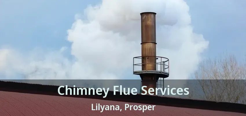 Chimney Flue Services Lilyana, Prosper - TX