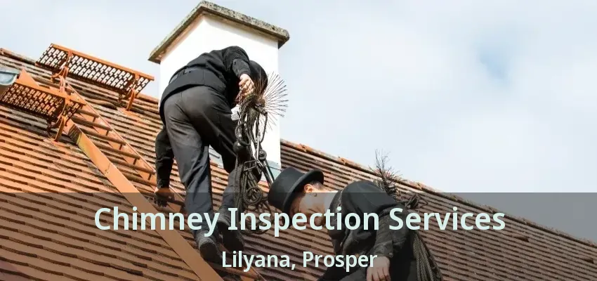 Chimney Inspection Services Lilyana, Prosper - TX