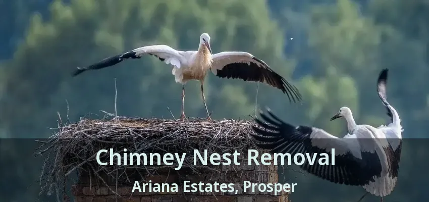 Chimney Nest Removal Ariana Estates, Prosper - TX