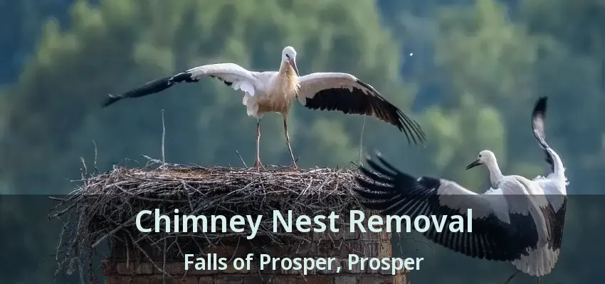 Chimney Nest Removal Falls of Prosper, Prosper - TX