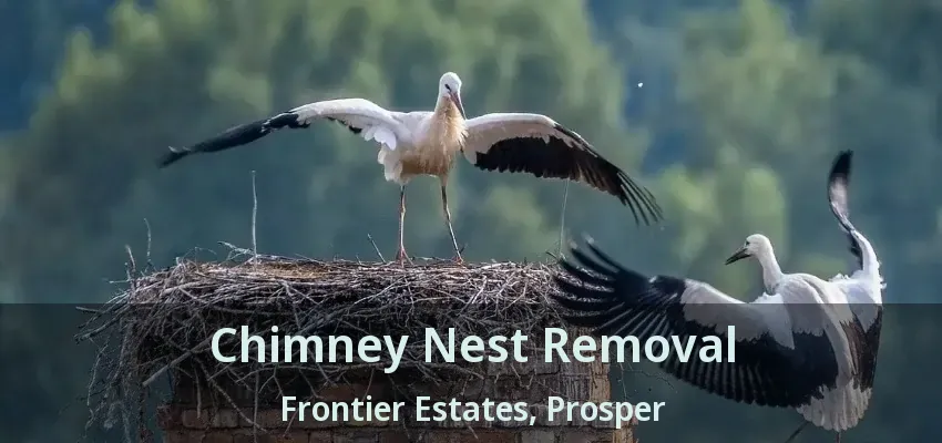 Chimney Nest Removal Frontier Estates, Prosper - TX