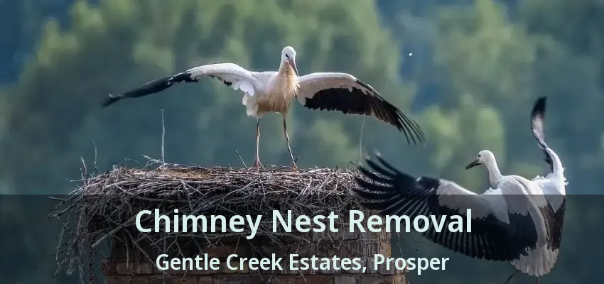 Chimney Nest Removal Gentle Creek Estates, Prosper - TX