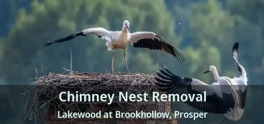 Chimney Nest Removal Lakewood at Brookhollow, Prosper - TX