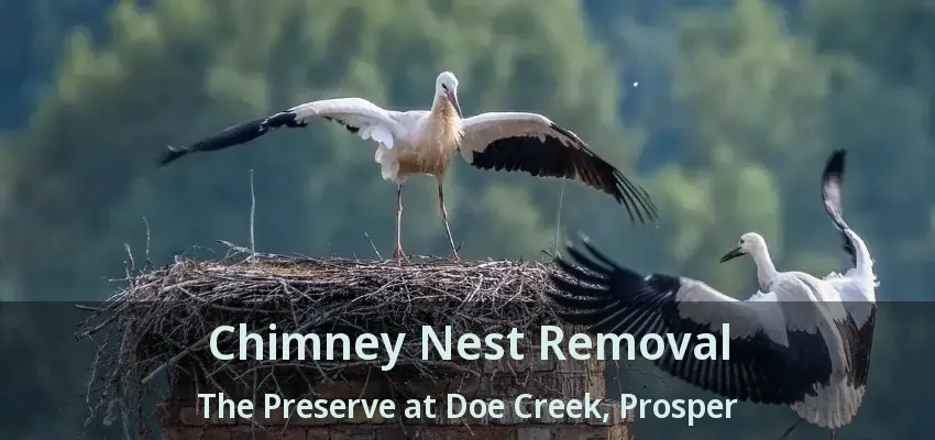 Chimney Nest Removal The Preserve at Doe Creek, Prosper - TX