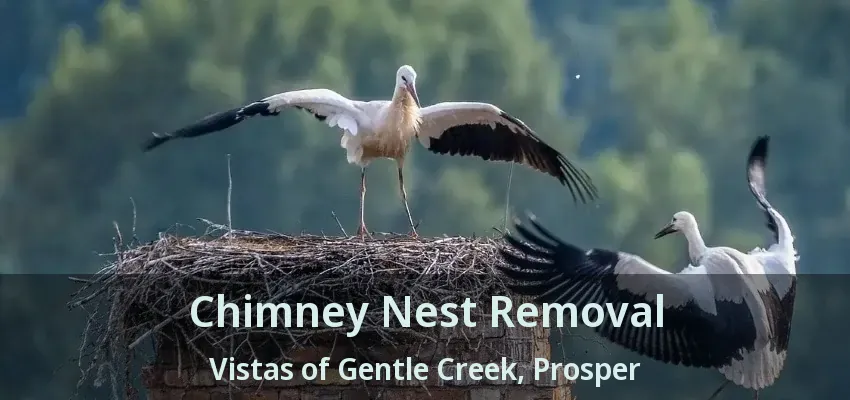 Chimney Nest Removal Vistas of Gentle Creek, Prosper - TX