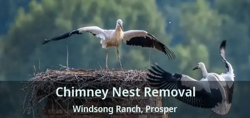 Chimney Nest Removal Windsong Ranch, Prosper - TX