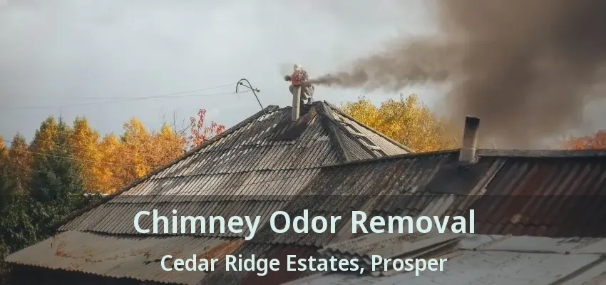 Chimney Odor Removal Cedar Ridge Estates, Prosper - TX
