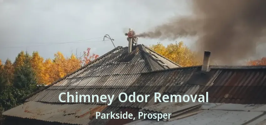 Chimney Odor Removal Parkside, Prosper - TX