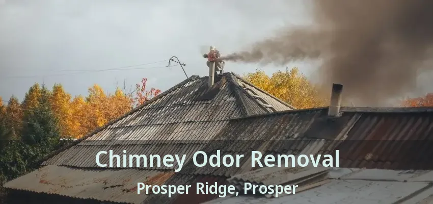 Chimney Odor Removal Prosper Ridge, Prosper - TX
