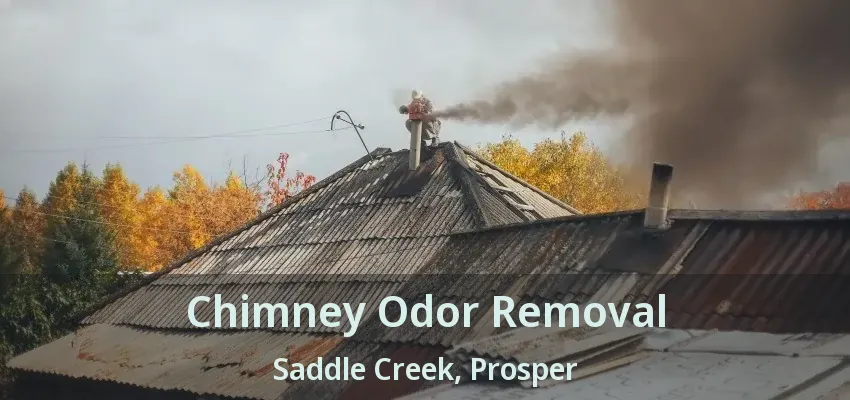 Chimney Odor Removal Saddle Creek, Prosper - TX