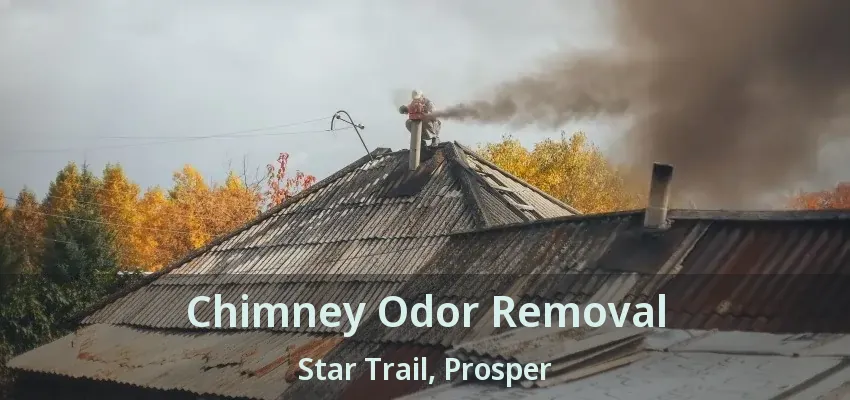 Chimney Odor Removal Star Trail, Prosper - TX
