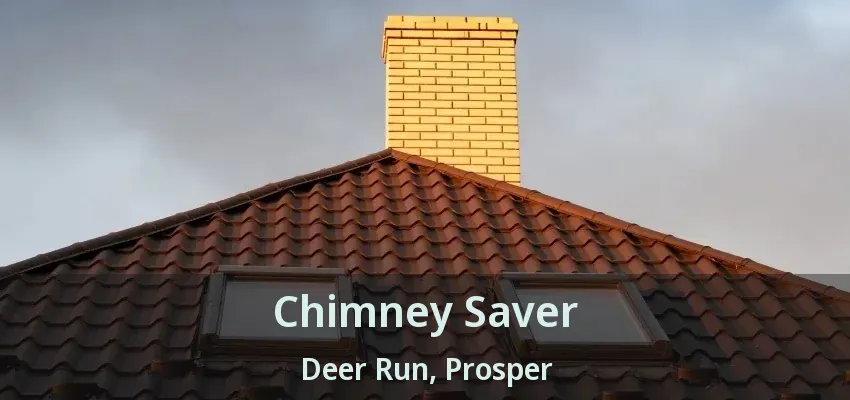 Chimney Saver Deer Run, Prosper - TX