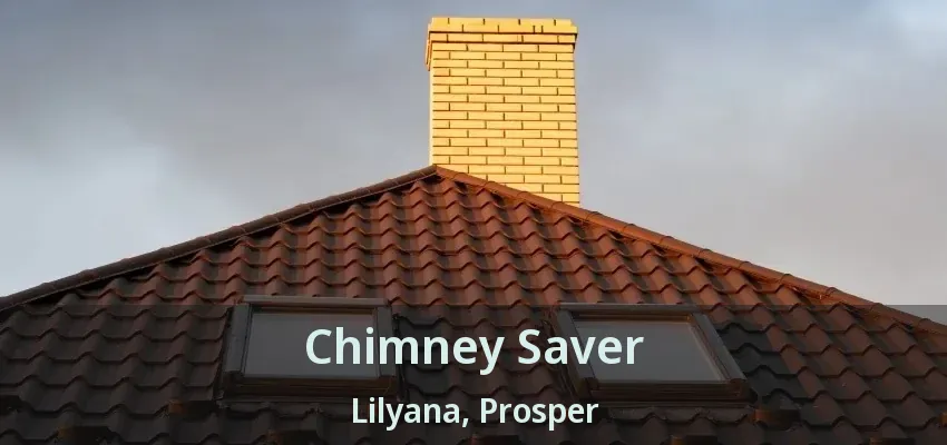 Chimney Saver Lilyana, Prosper - TX