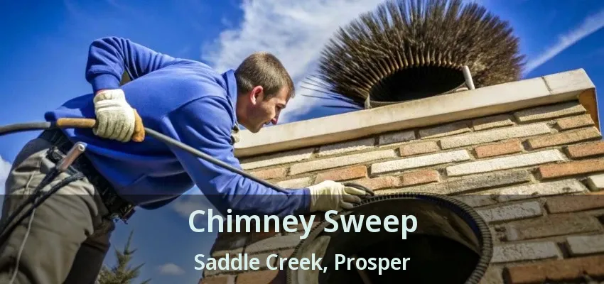 Chimney Sweep Saddle Creek, Prosper - TX