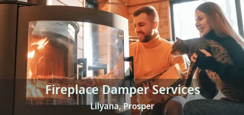 Fireplace Damper Services Lilyana, Prosper - TX