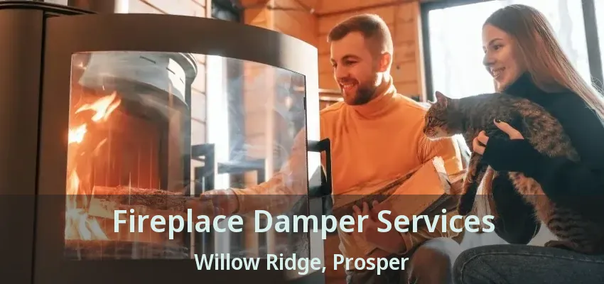 Fireplace Damper Services Willow Ridge, Prosper - TX
