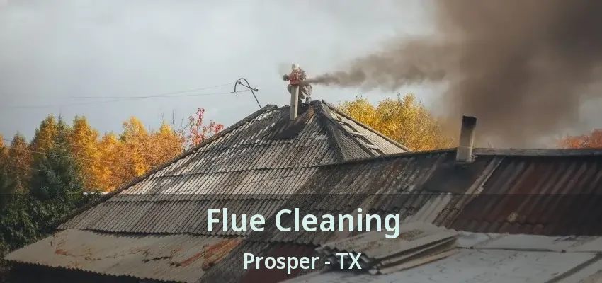 Flue Cleaning Prosper - TX