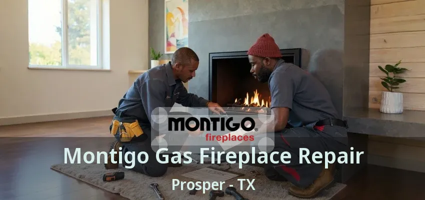 Montigo Gas Fireplace Repair Prosper - TX