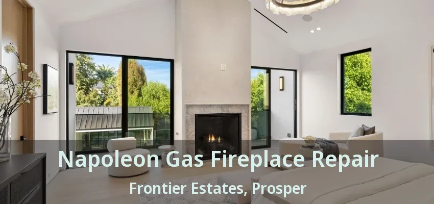 Napoleon Gas Fireplace Repair Frontier Estates, Prosper - TX