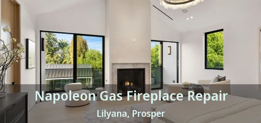 Napoleon Gas Fireplace Repair Lilyana, Prosper - TX