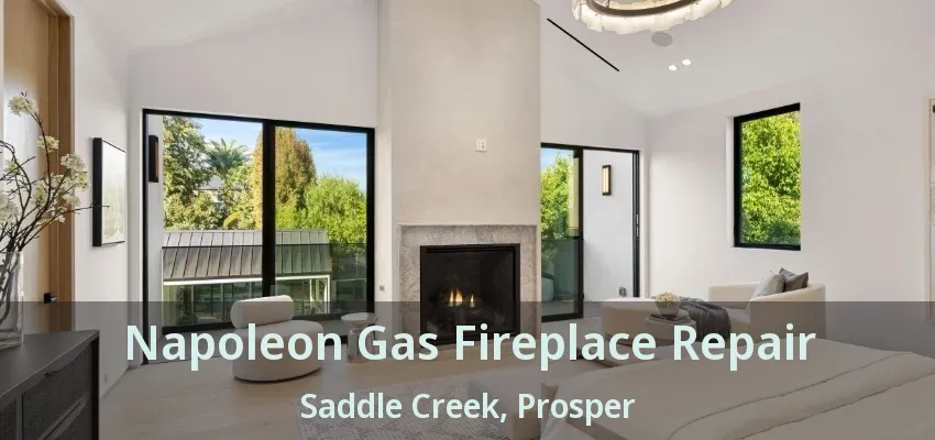 Napoleon Gas Fireplace Repair Saddle Creek, Prosper - TX