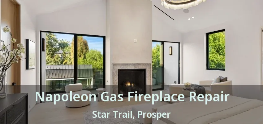 Napoleon Gas Fireplace Repair Star Trail, Prosper - TX