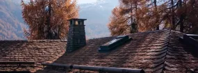 Chimney Animal Removal Frontier Estates, Prosper