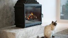 Wood Burning Fireplace Repair Frontier Estates, Prosper